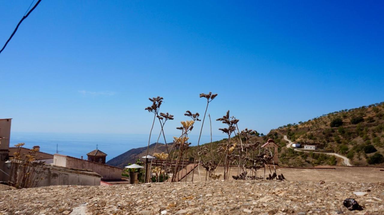 Casa Amigos Sorvilan - La Almendra Dış mekan fotoğraf