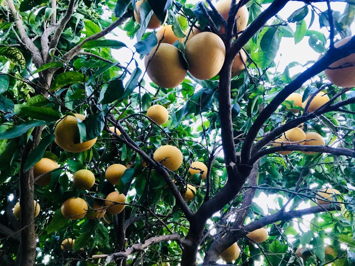 Casa Amigos Sorvilan - La Almendra Dış mekan fotoğraf