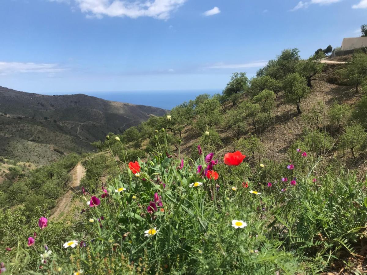 Casa Amigos Sorvilan - La Almendra Dış mekan fotoğraf