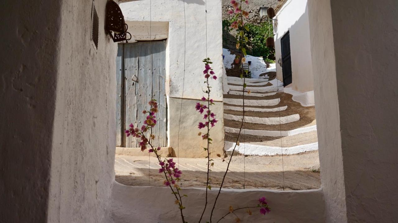 Casa Amigos Sorvilan - La Almendra Dış mekan fotoğraf