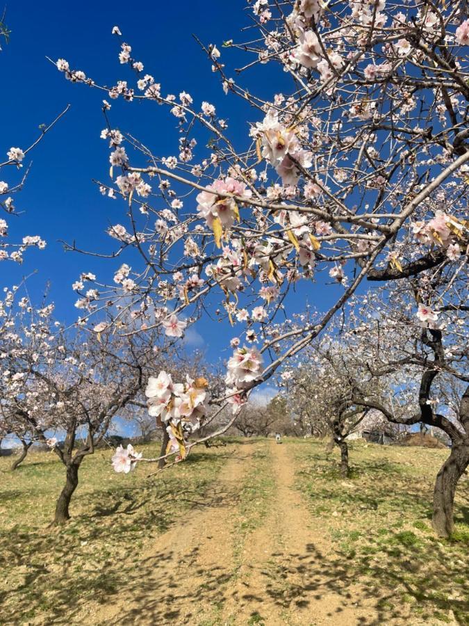Casa Amigos Sorvilan - La Almendra Dış mekan fotoğraf